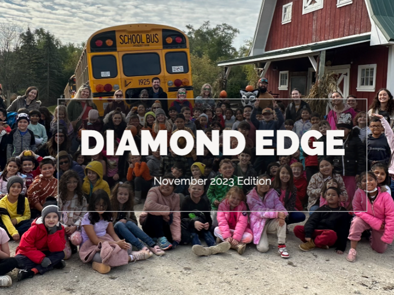 November Diamond Edge
