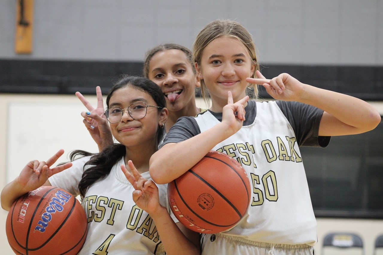 Diamond Lake School District 76